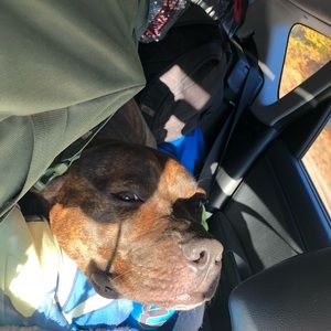 Meet your Posher, Malisha